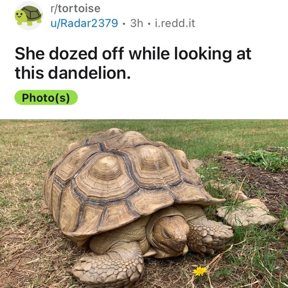 Meet your Posher, Danelle - Picture 8 of 8